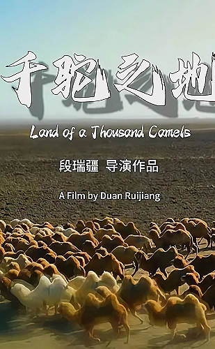 蘑菇视频艺术影像主题封面：让光影成为另一种语言
